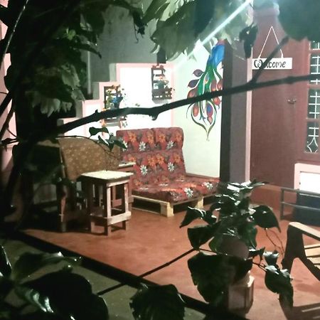Sigiri Picaso Home Stay Sigiriya Eksteriør billede