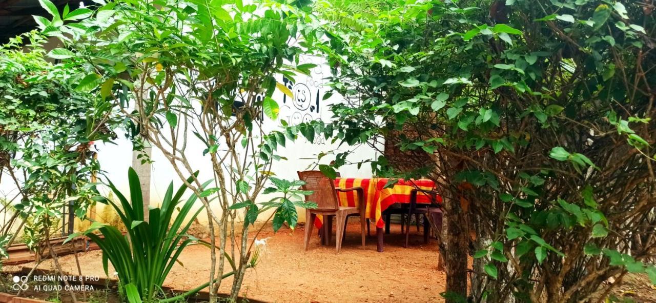 Sigiri Picaso Home Stay Sigiriya Eksteriør billede