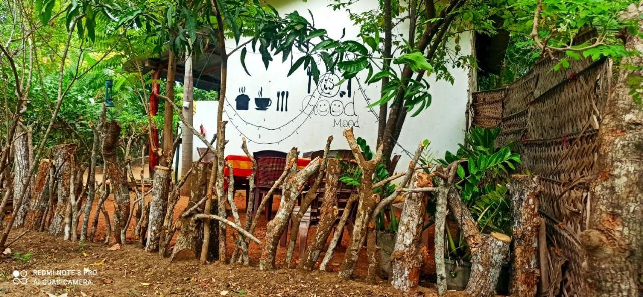 Sigiri Picaso Home Stay Sigiriya Eksteriør billede