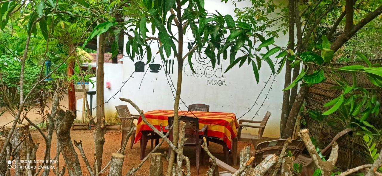 Sigiri Picaso Home Stay Sigiriya Eksteriør billede