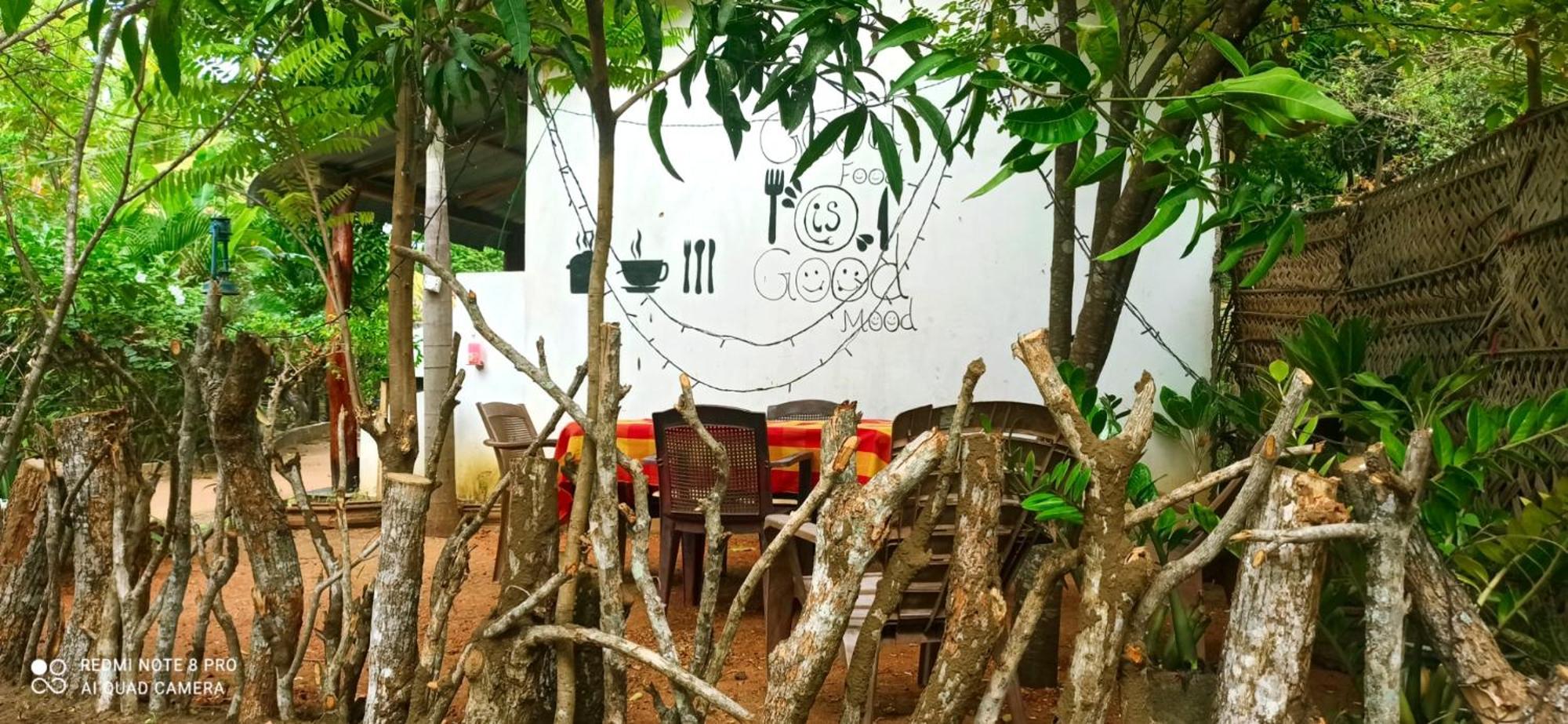 Sigiri Picaso Home Stay Sigiriya Eksteriør billede