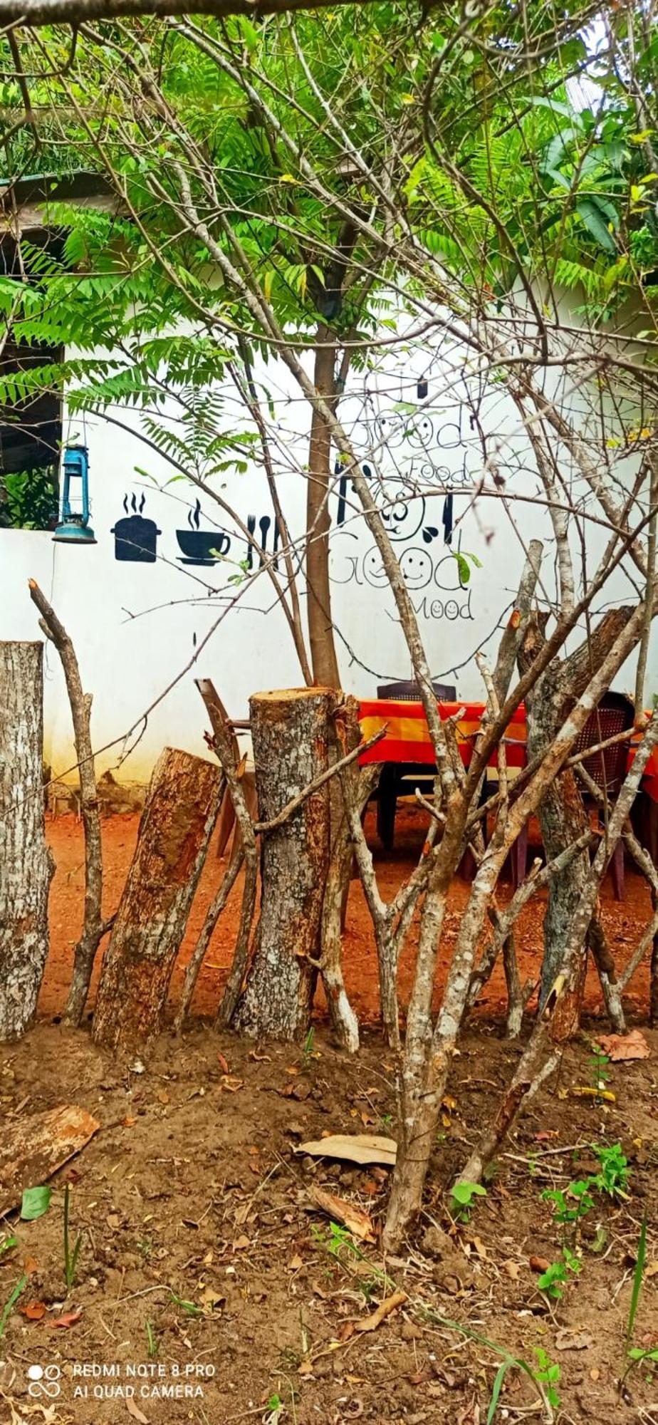 Sigiri Picaso Home Stay Sigiriya Eksteriør billede