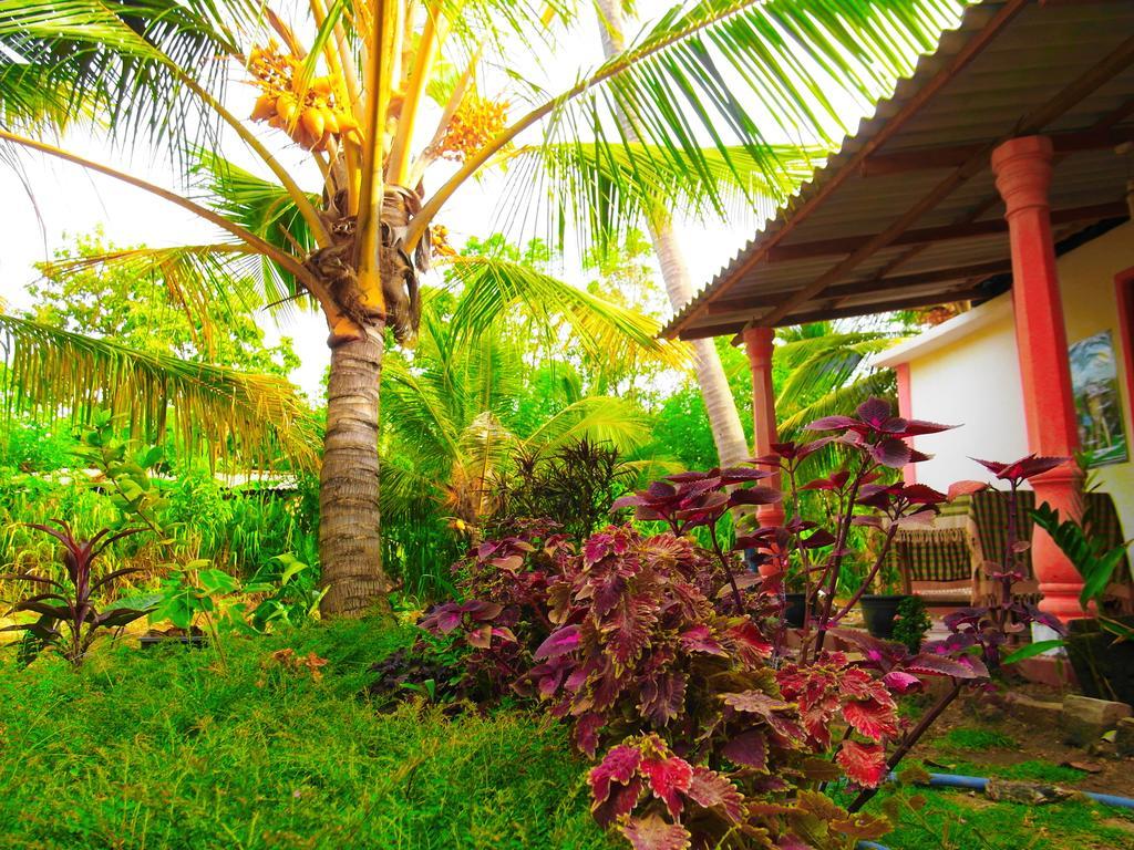 Sigiri Picaso Home Stay Sigiriya Eksteriør billede