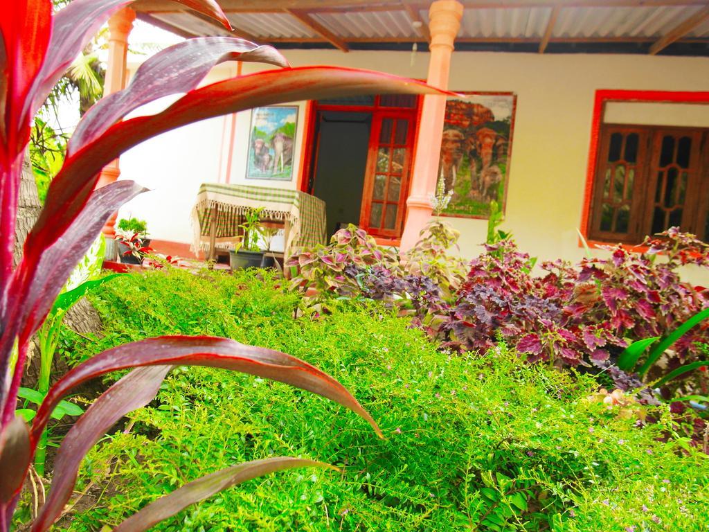 Sigiri Picaso Home Stay Sigiriya Eksteriør billede