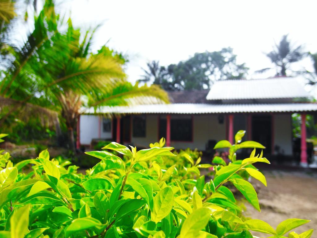 Sigiri Picaso Home Stay Sigiriya Eksteriør billede