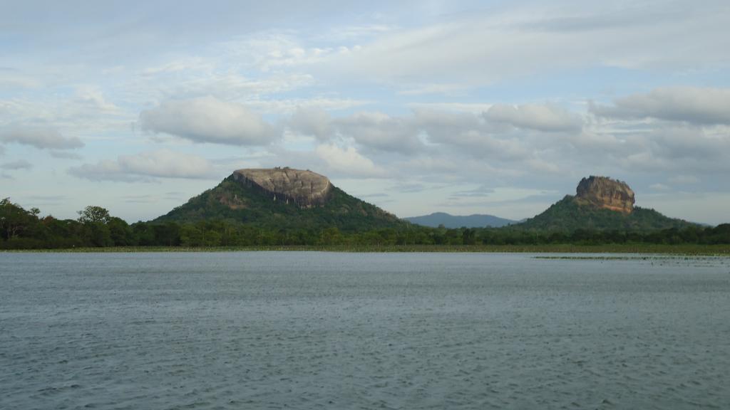 Sigiri Picaso Home Stay Sigiriya Eksteriør billede
