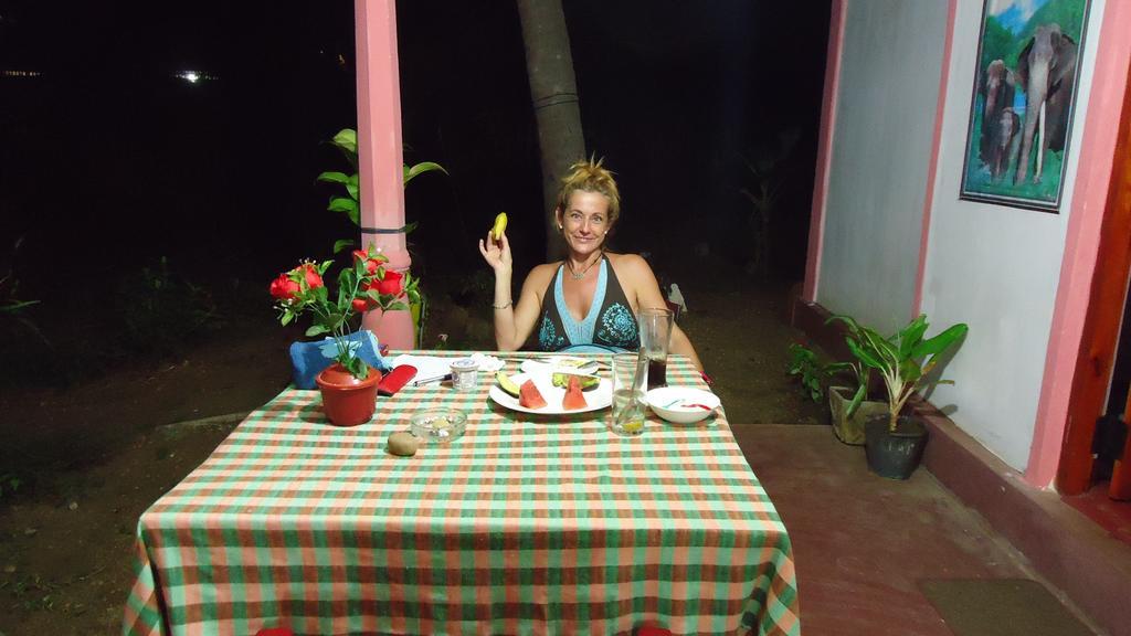 Sigiri Picaso Home Stay Sigiriya Eksteriør billede