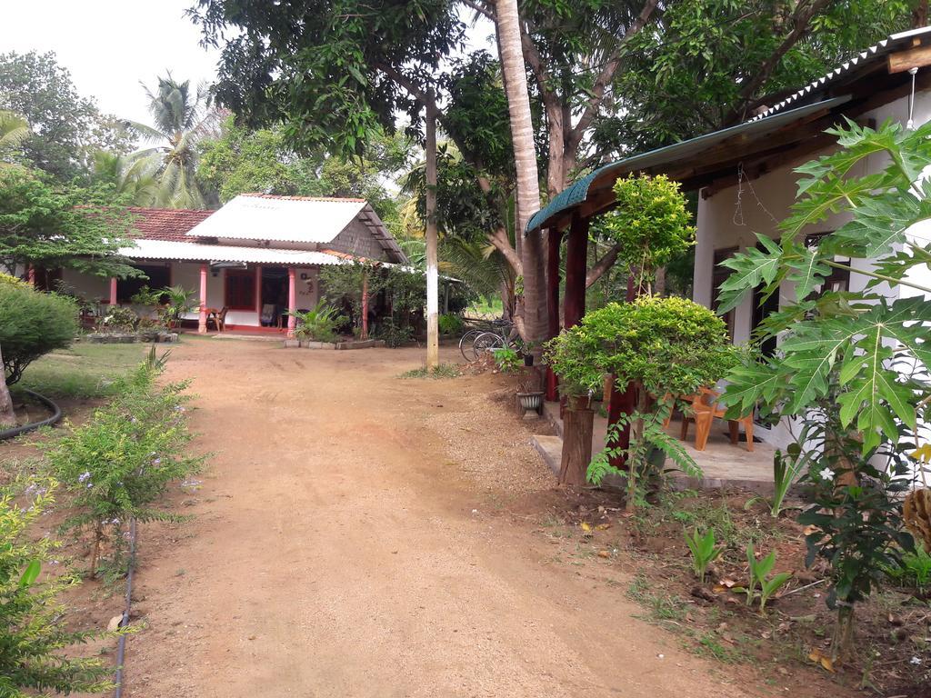 Sigiri Picaso Home Stay Sigiriya Eksteriør billede