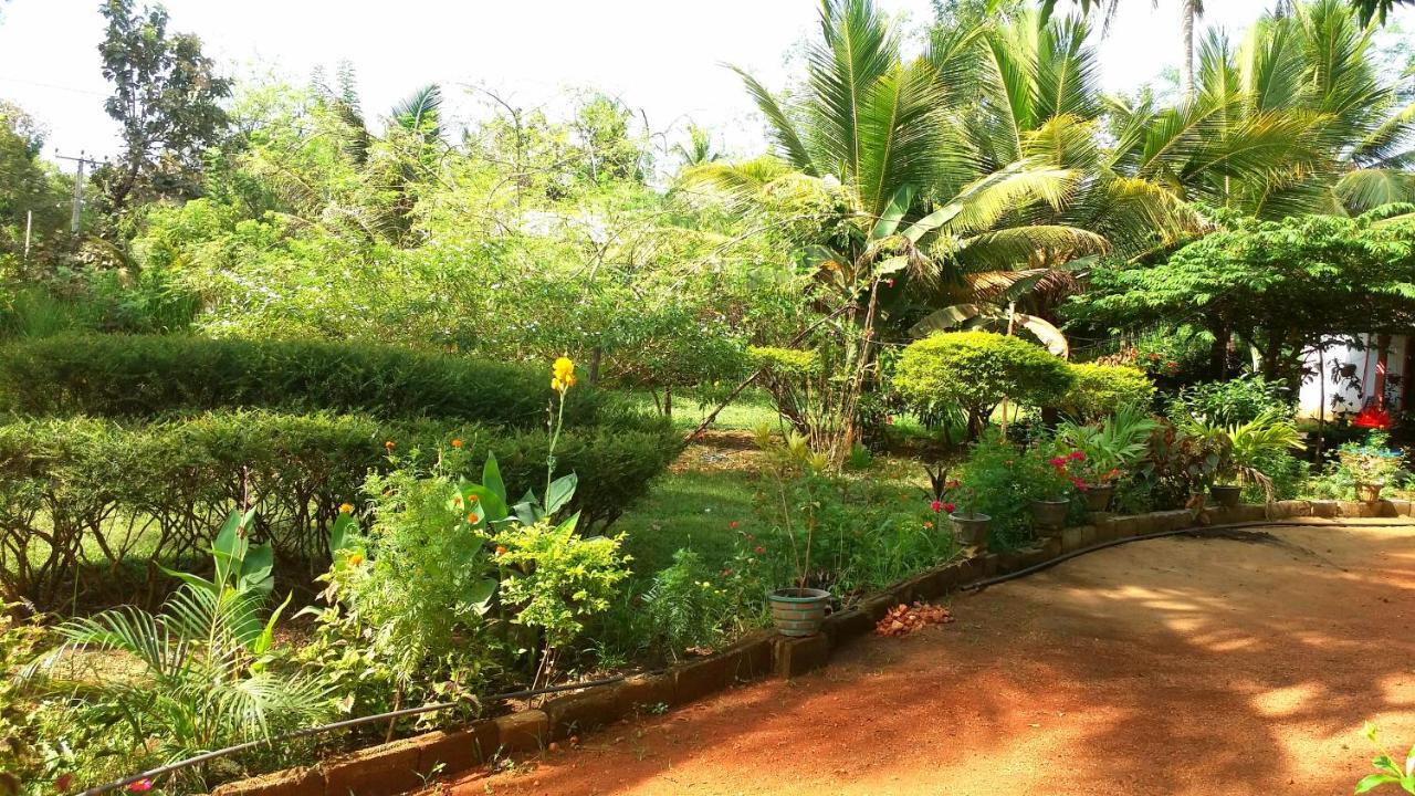 Sigiri Picaso Home Stay Sigiriya Eksteriør billede