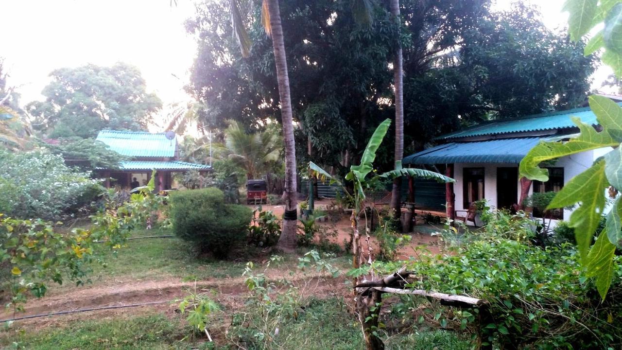 Sigiri Picaso Home Stay Sigiriya Eksteriør billede
