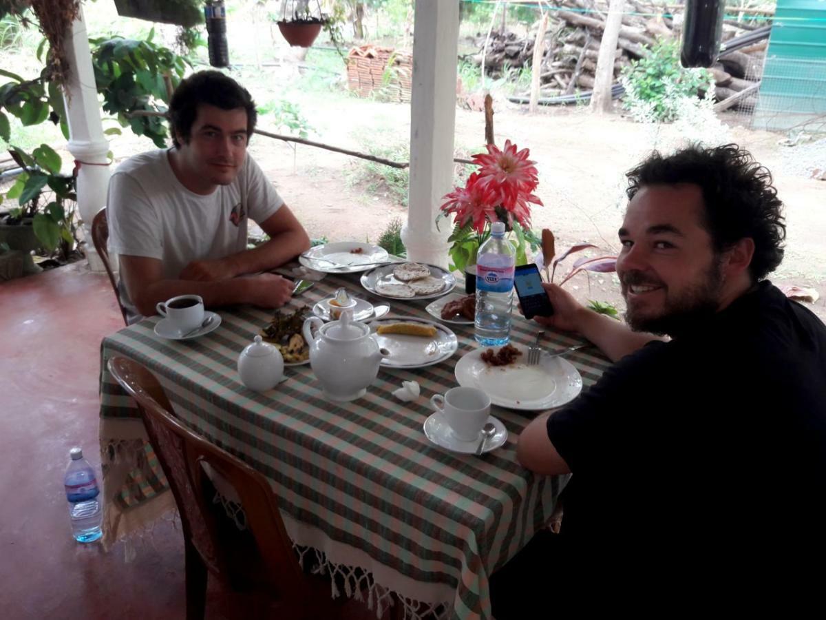 Sigiri Picaso Home Stay Sigiriya Eksteriør billede