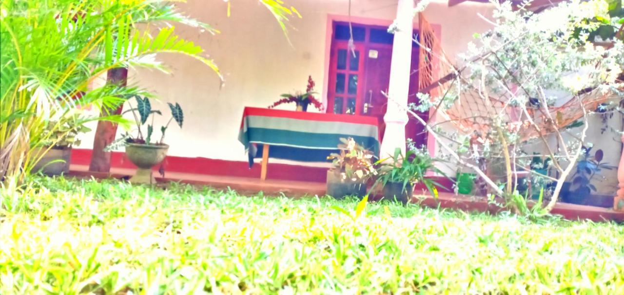 Sigiri Picaso Home Stay Sigiriya Eksteriør billede