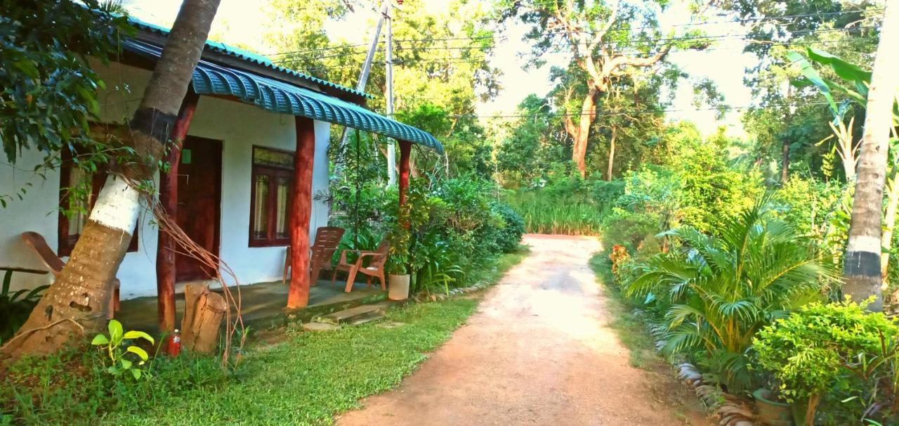 Sigiri Picaso Home Stay Sigiriya Eksteriør billede