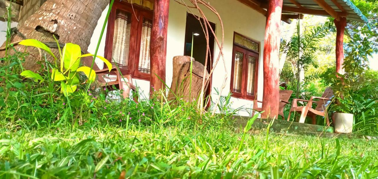 Sigiri Picaso Home Stay Sigiriya Eksteriør billede